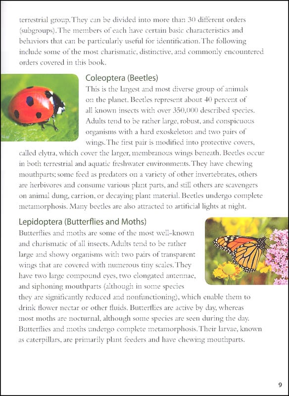 Backyard Bugs An Identification Guide to Common Insects Spiders and More by Adventure Publications 5