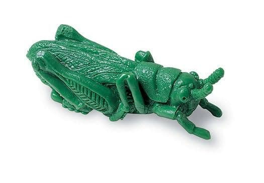 Backyard Bugs Counters by Learning Resources 6