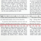 Bar Ruler Magniver by Carson 2