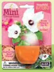 Beautiful Butterfly Mini Terrarium by Dunecraft