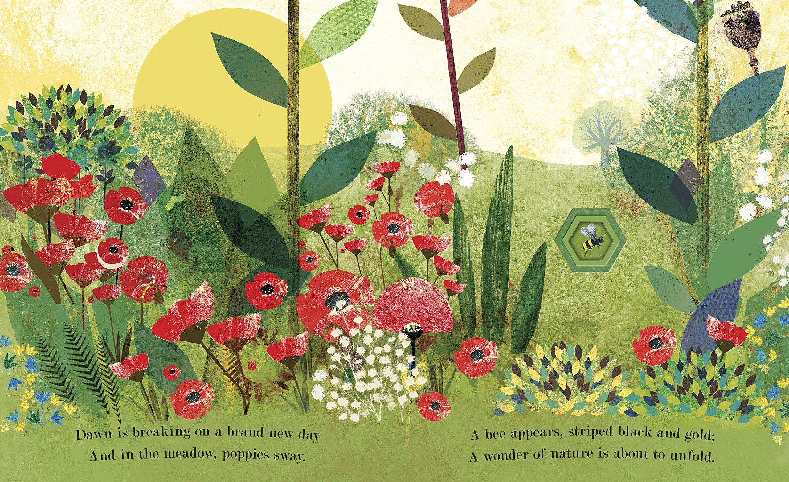 Bee A Peek Through Picture Book by Penguin Random House 1