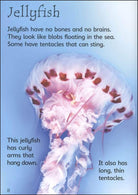 Beginners Under The Sea Usborne Beginners by Usborne 2