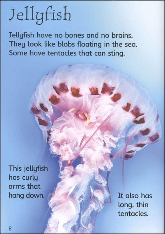 Beginners Under The Sea Usborne Beginners by Usborne 2