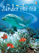 Beginners Under The Sea Usborne Beginners by Usborne