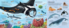 Big Book of Sea Creatures by Usborne 1