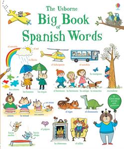 Big Book of Spanish Words by Usborne