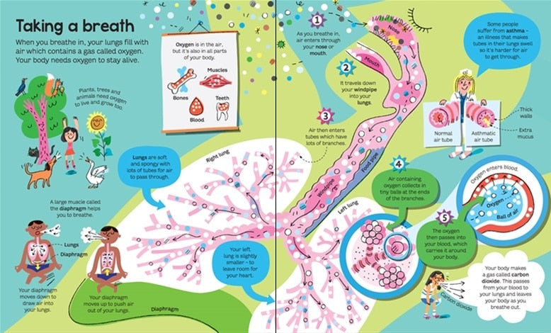 Big Book of the Body by Usborne 1