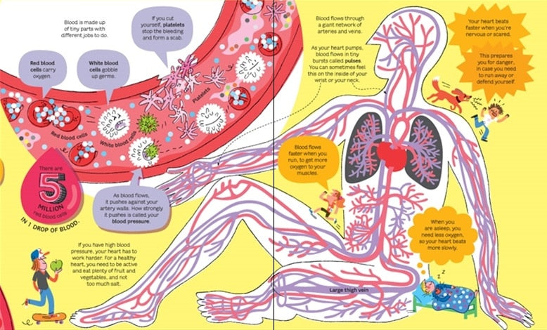 Big Book of the Body by Usborne 3