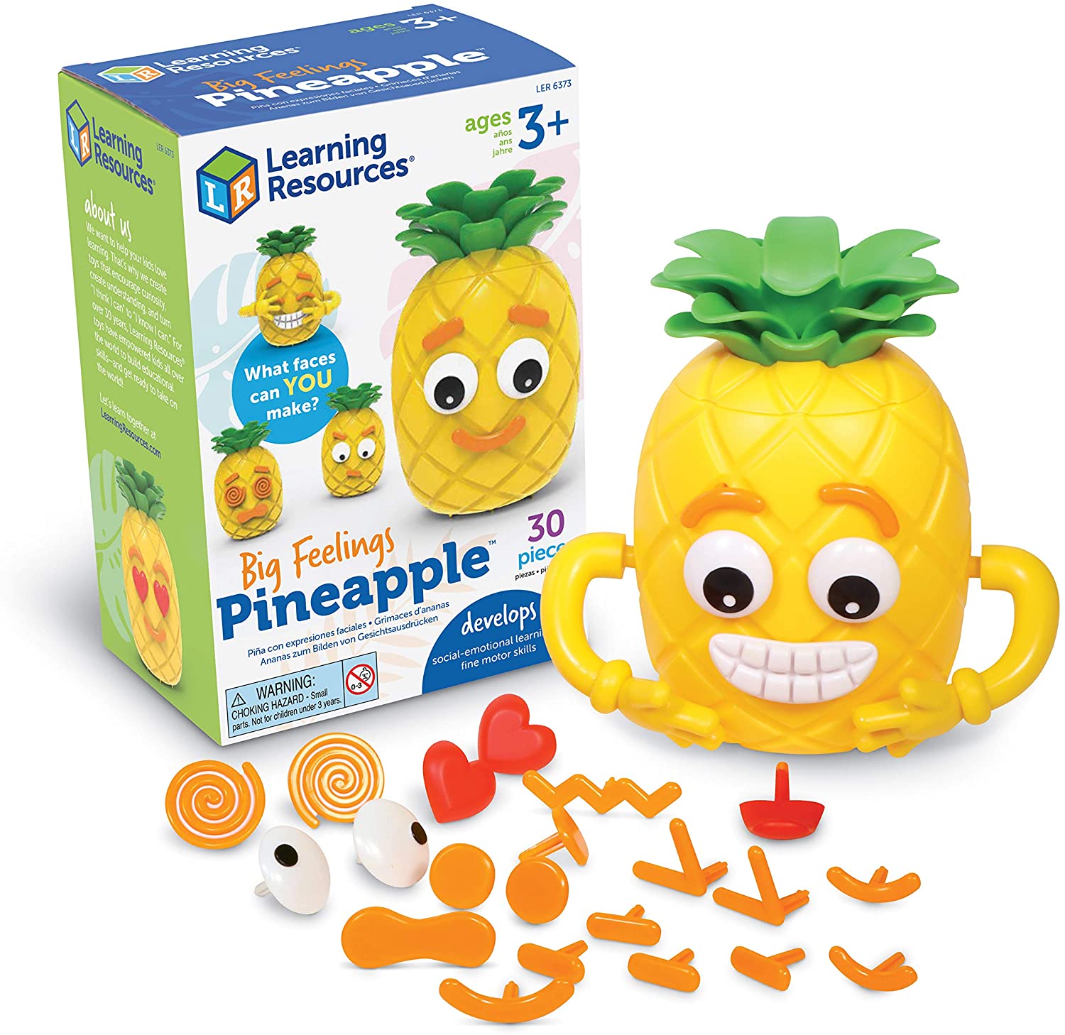 Big Feelings Pineapple – A2Z Science & Toys