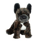 Billie French Bulldog 11 by Douglas