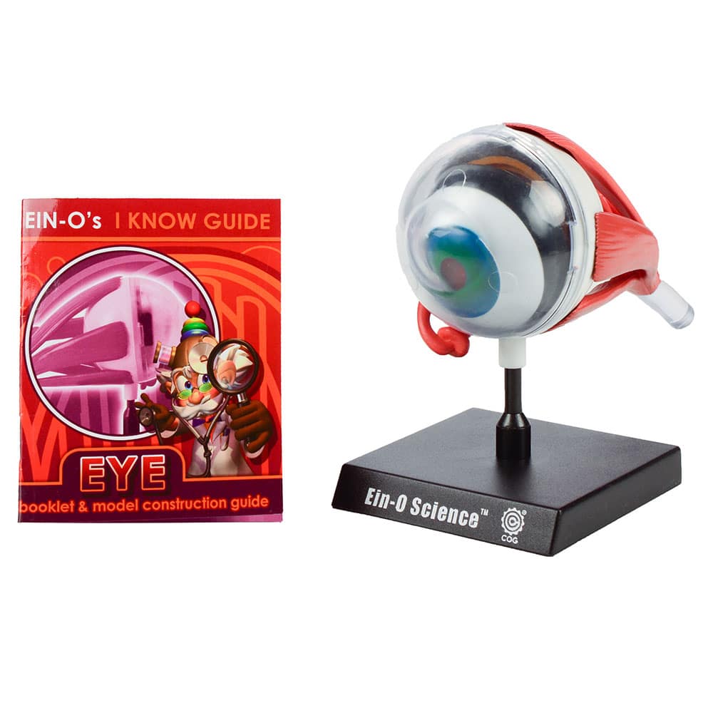 Bio Signs Eye by TEDCO