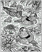 Birds Magic Painting Book by Usborne 1