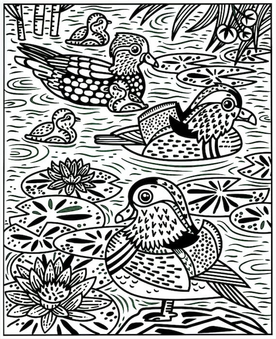 Birds Magic Painting Book by Usborne 1