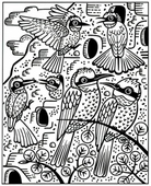 Birds Magic Painting Book by Usborne 2