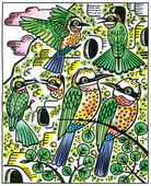 Birds Magic Painting Book by Usborne 3