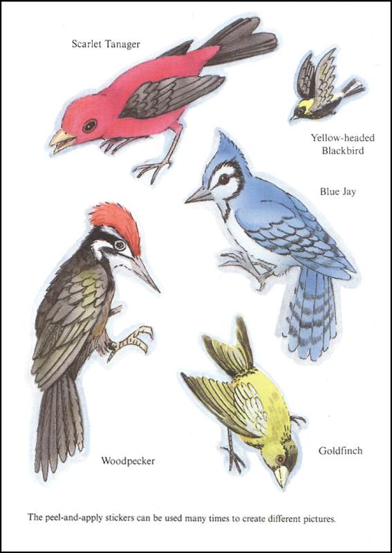 Birds Sticker Activity Book by Dover Publications 1