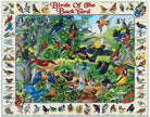 Birds of the Back Yard 1000pc Puzzle by White Mountain Puzzles 1