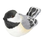Black Capped Chickadee 5 by Wild Republic