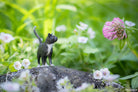 Black White Standing Cat Figure by Schliech 3