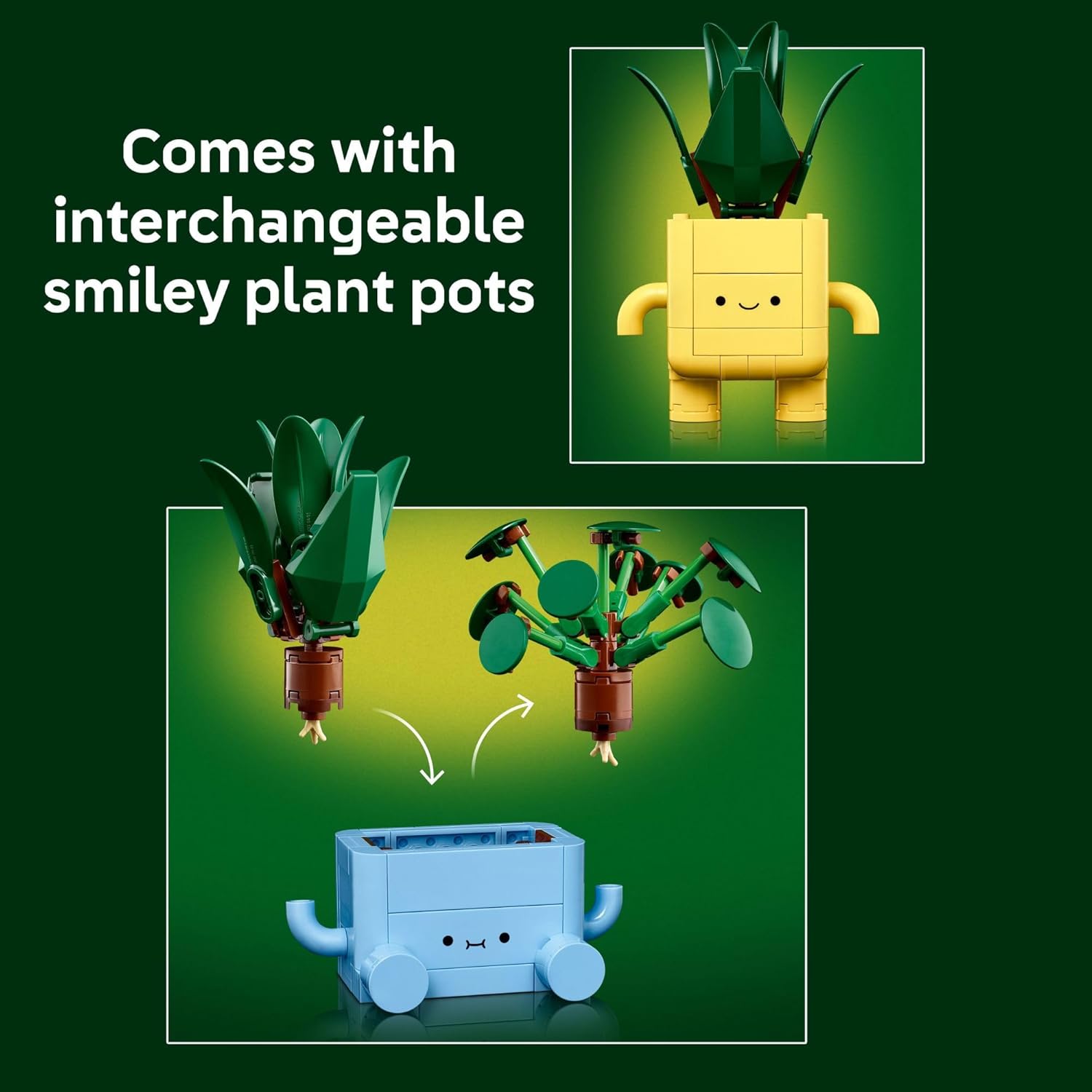 Botanicals Happy Plants – A2Z Science & Toys
