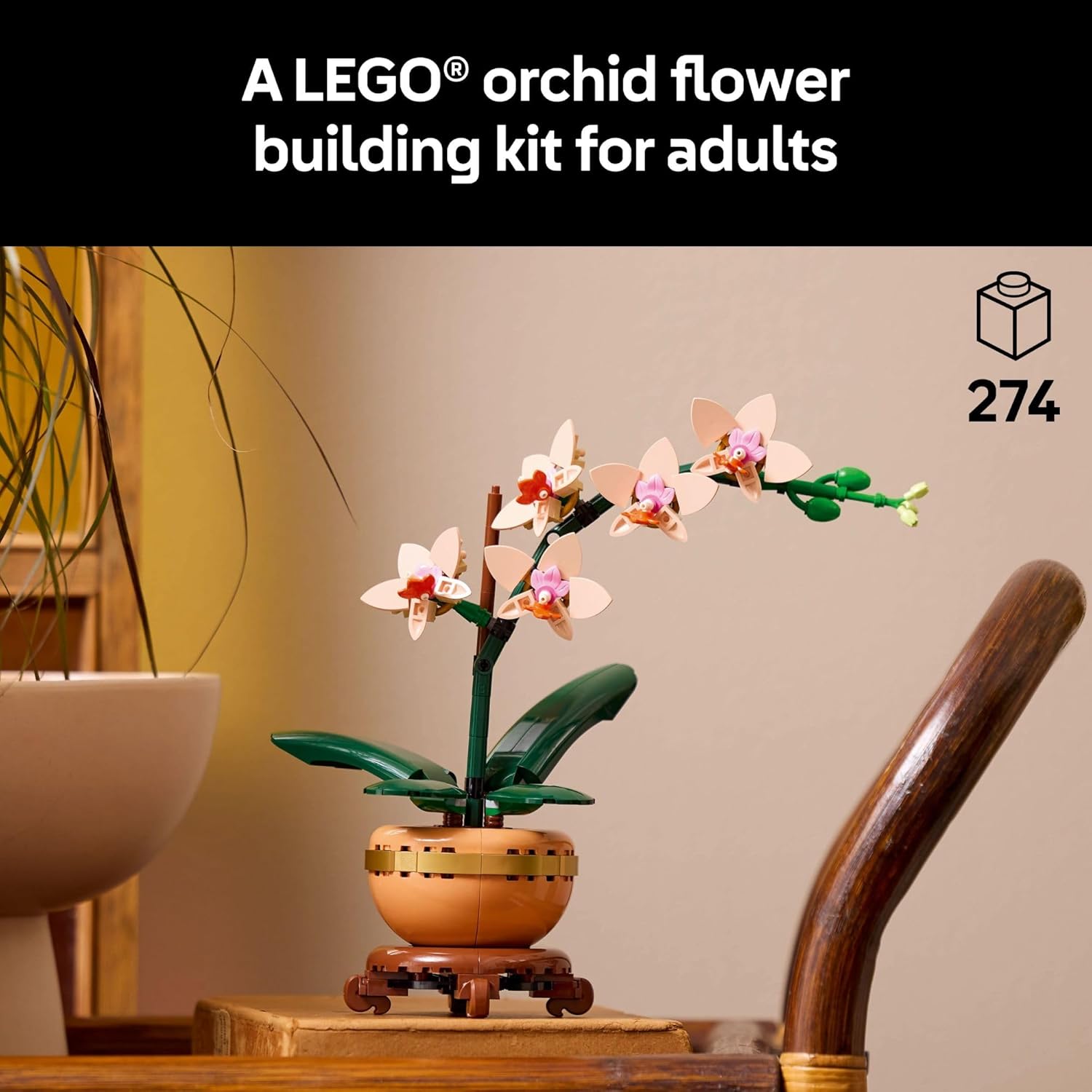 Botanicals Mini Orchid – A2Z Science & Toys