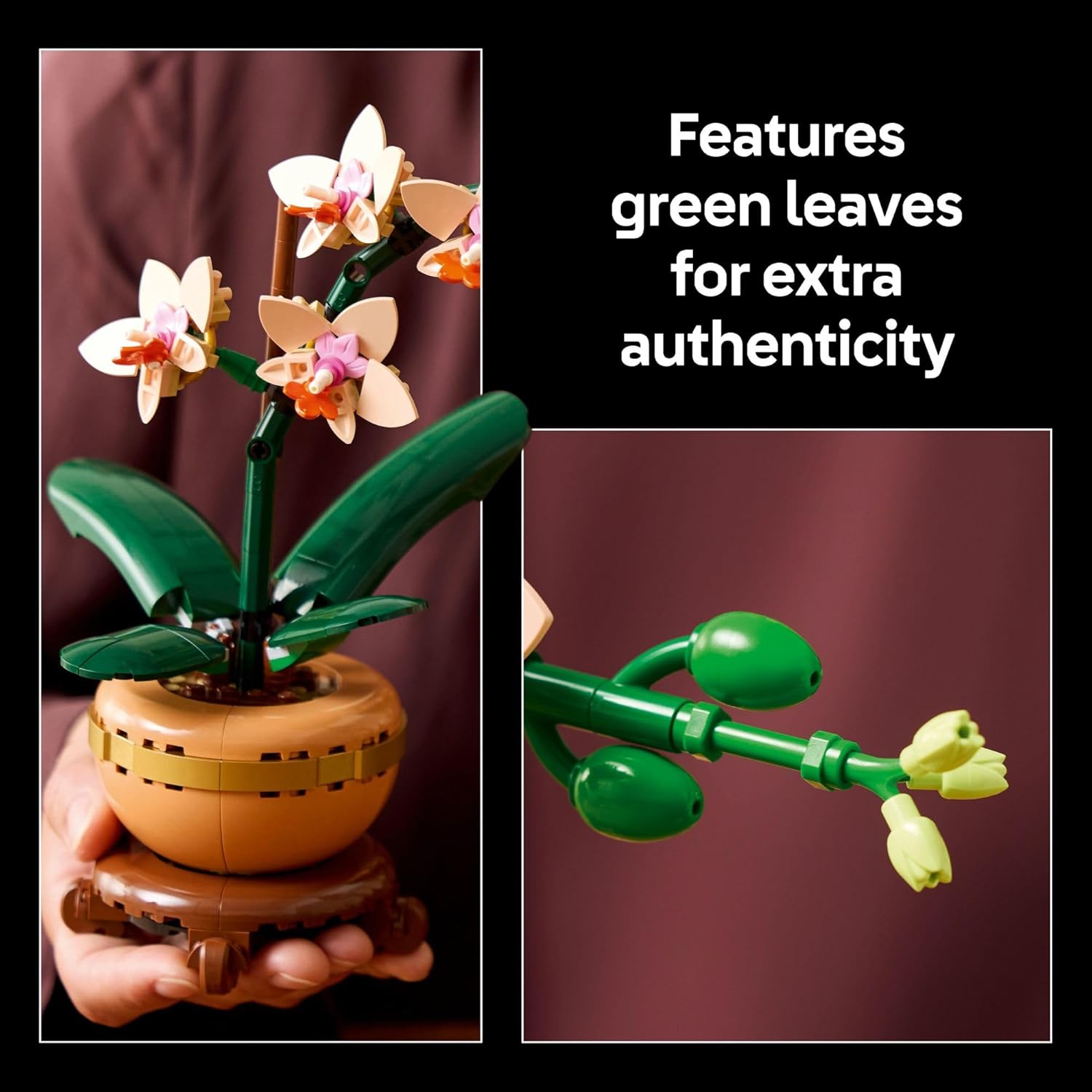 Botanicals Mini Orchid – A2Z Science & Toys