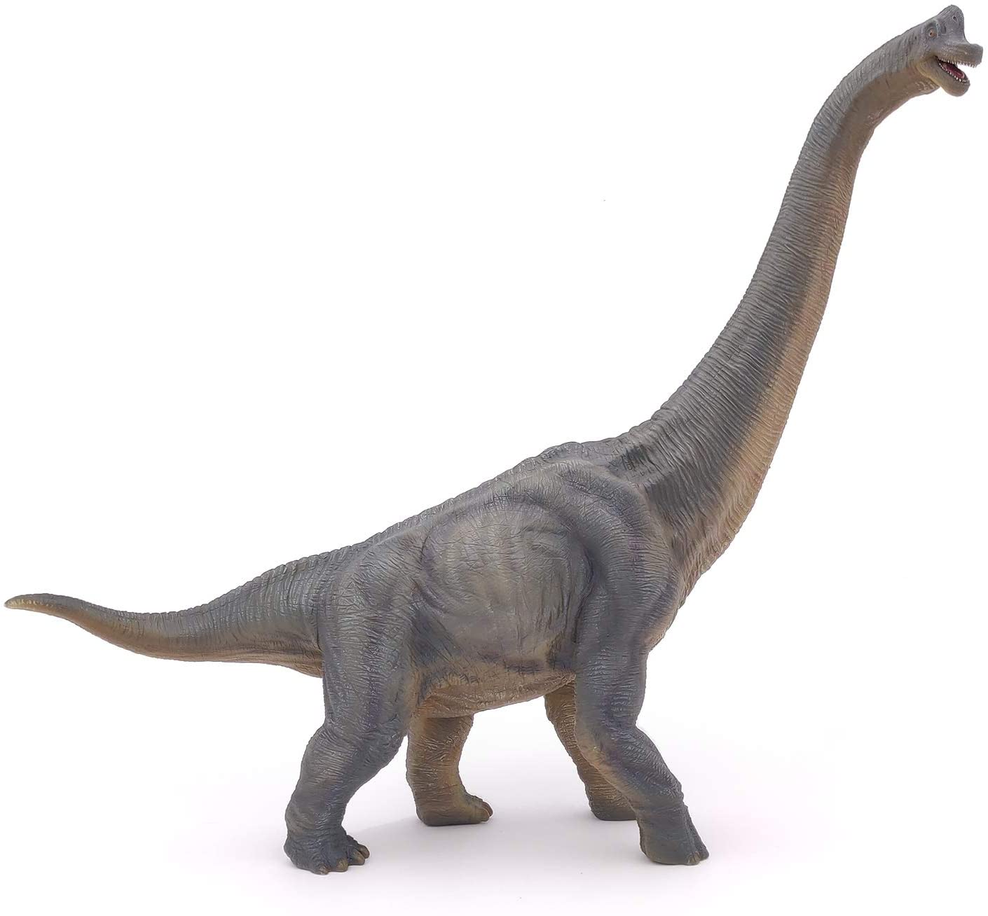 Brachiosaurus Figure – A2Z Science & Toys