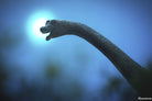 Brachiosaurus Figure by Schliech 4
