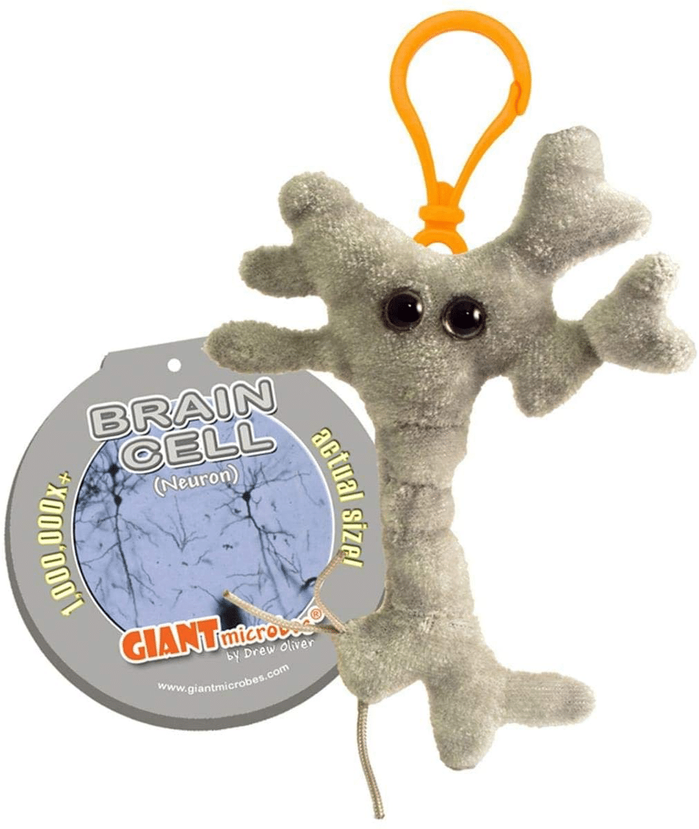 Brain Cell Keychain by Giant Microbes