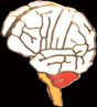 Brain Pin by WM Spear Designs