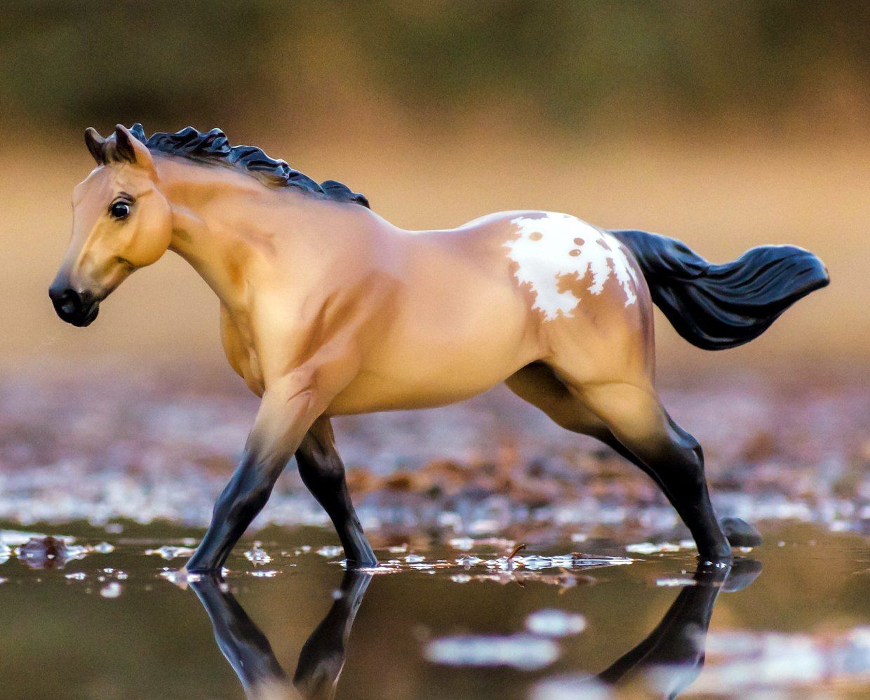 Breyer Buckskin Blanket Appaloosa by Breyer 2