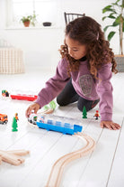 Brio Travel Train Tunnel by Brio 5