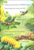 Bugs Usborne Beginners by Usborne 1