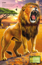 Build Your Own Deadly Animals Sticker Book by Usborne 3