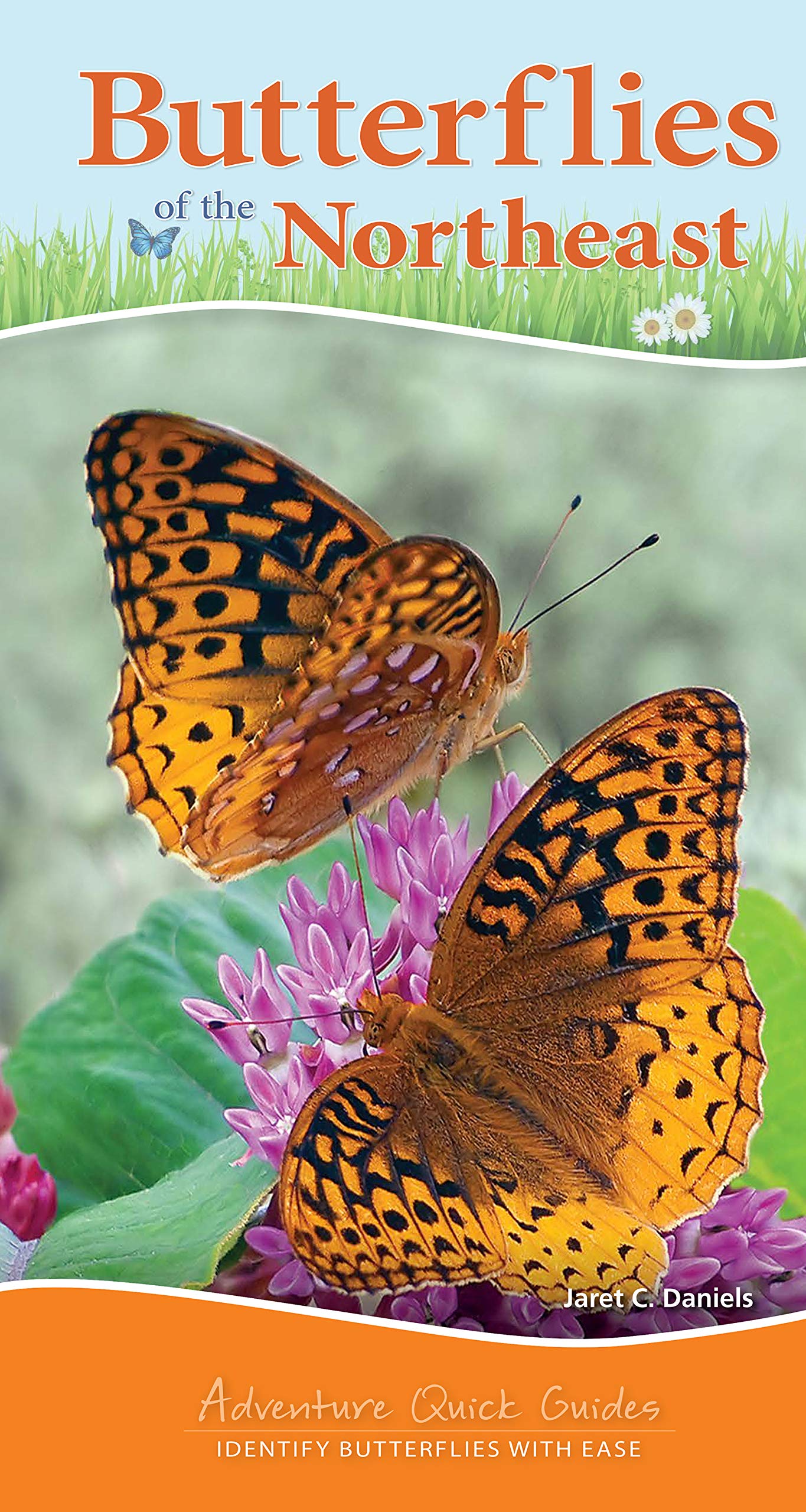 Butterflies of the Northeast Identify Butterflies with Ease by Adventure Publications
