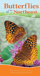 Butterflies of the Northeast Identify Butterflies with Ease by Adventure Publications