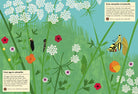 Butterflies of the World My Nature Sticker Activity Book by Princeton Architectural Press 1