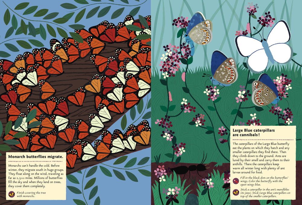 Butterflies of the World My Nature Sticker Activity Book by Princeton Architectural Press 3