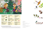 Butterflies of the World My Nature Sticker Activity Book by Princeton Architectural Press 4