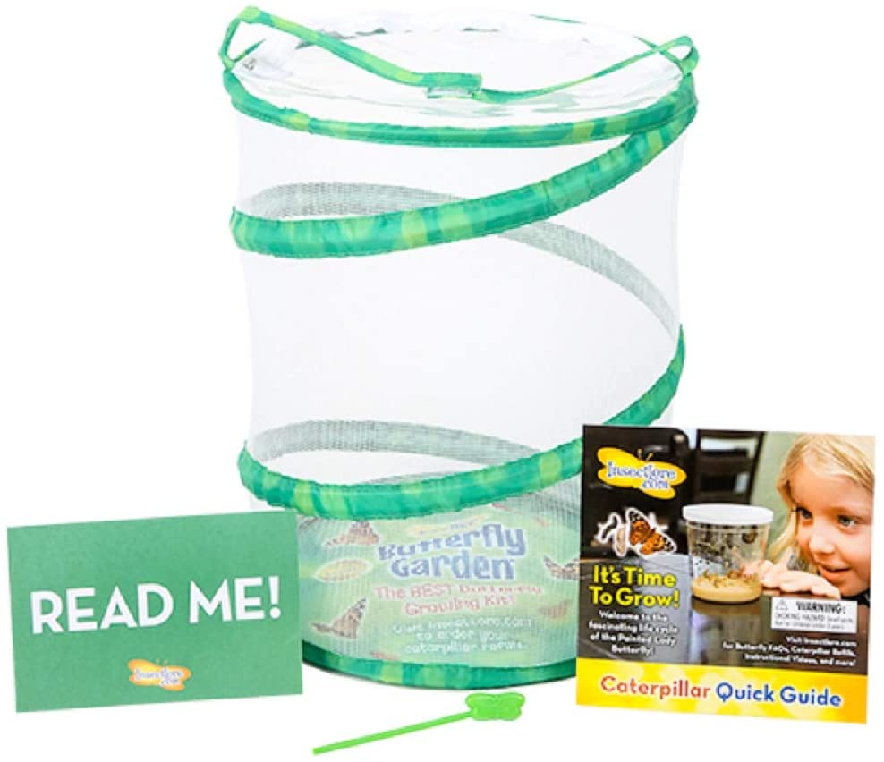 Butterfly Garden with Voucher by Insect Lore 1