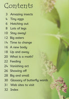 Caterpillars and Butterflies Usborne Beginners by Usborne 1