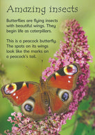 Caterpillars and Butterflies Usborne Beginners by Usborne 2