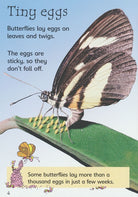 Caterpillars and Butterflies Usborne Beginners by Usborne 3