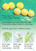 Caterpillars and Butterflies Usborne Beginners by Usborne 4