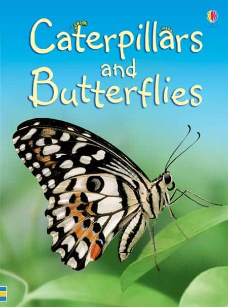 Caterpillars and Butterflies Usborne Beginners by Usborne