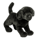 Chester Black Lab 12 by Douglas