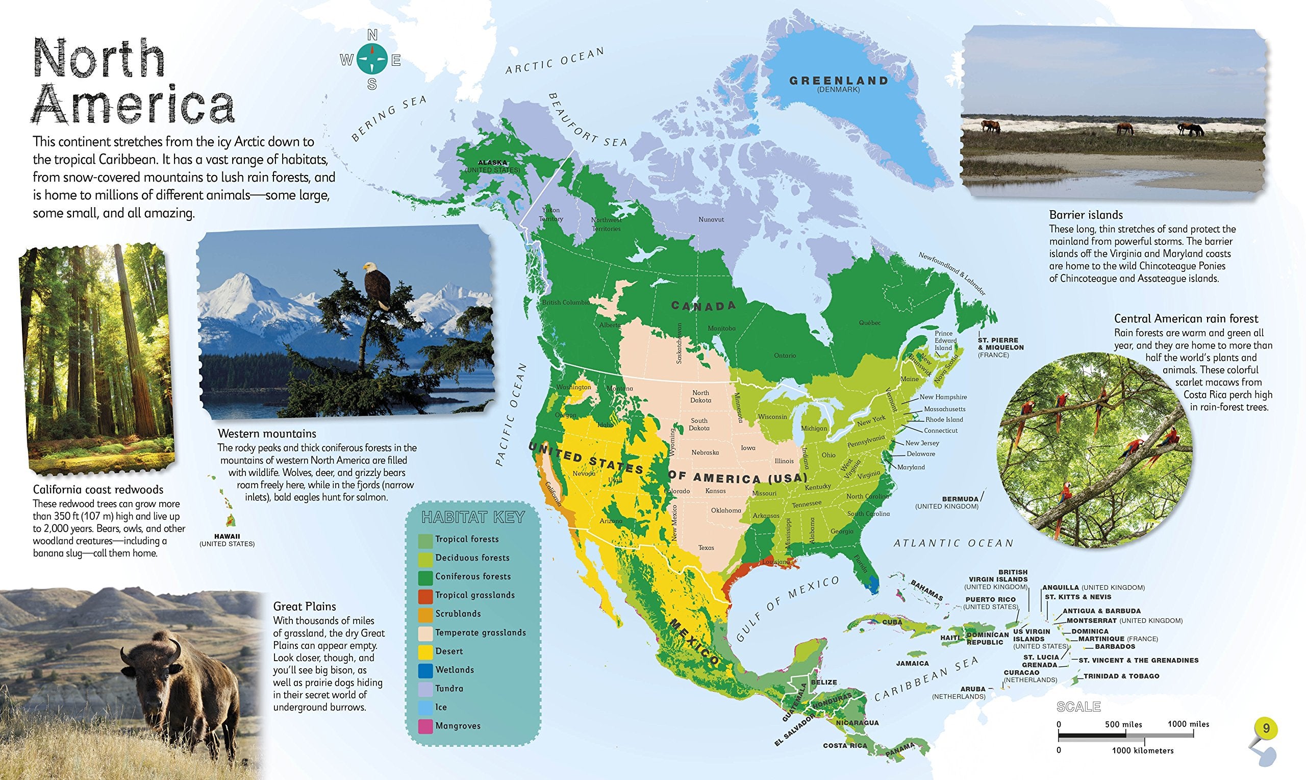 Childrens Illustrated Animal Atlas by Dorling Kindersley 1