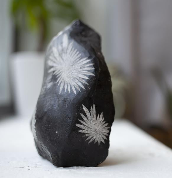 Chrysanthemum Stone 4to 6 by Veronica Matthews Minerals 1