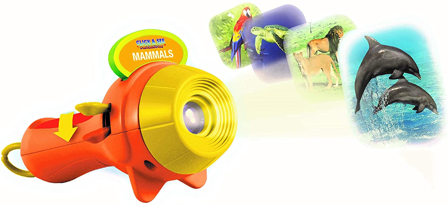 Click See Projector by Smart Play 1