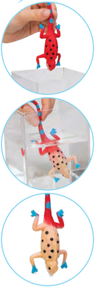 Color Changing Revealeons Chameleons by Schylling 2